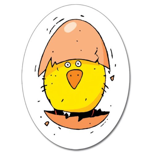 Djeco-Csip-csip - Piou Piou