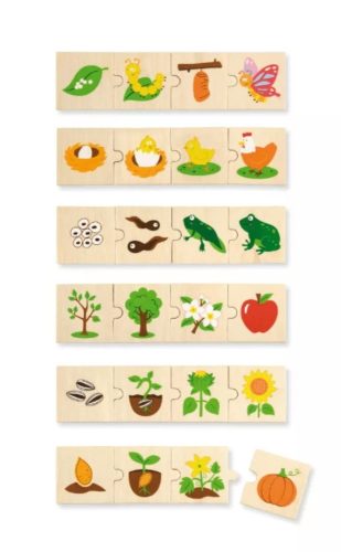 Fejlődés puzzle-VIGA toys