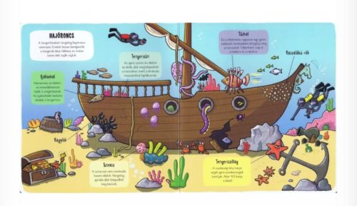 Kis felfedezők-Minden, ami tenger