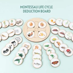 Montessori életciklus  (FJ)