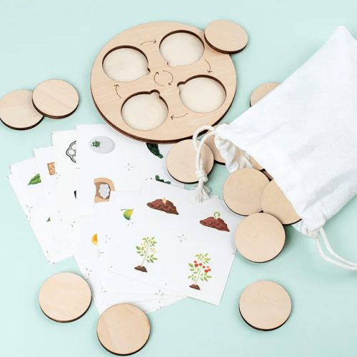 Montessori életciklus  (FJ)